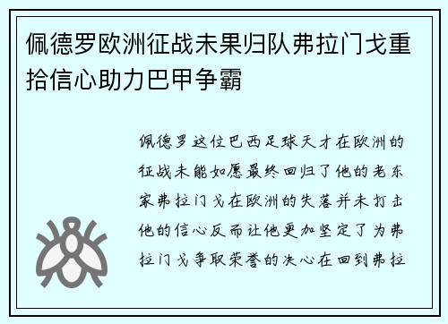 佩德罗欧洲征战未果归队弗拉门戈重拾信心助力巴甲争霸